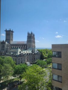 cathedral views from the building